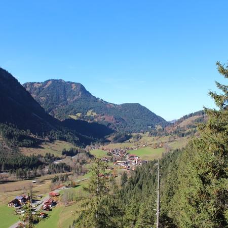 Hundetreffen 2016 im Allgäu (9)